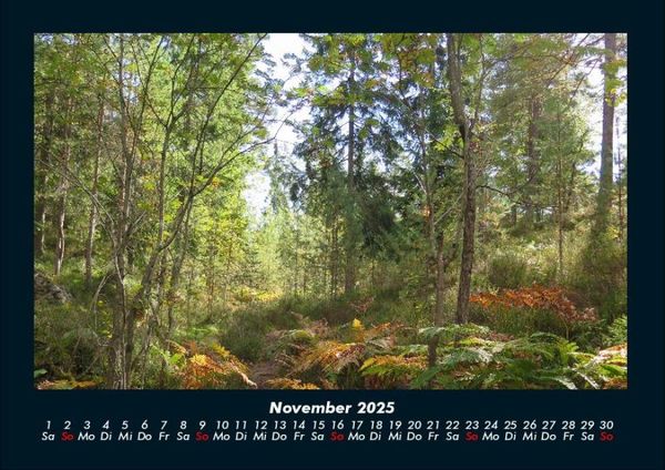 Produktbild: B&auml;ume 2025 Fotokalender DIN A4
