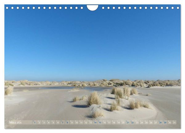 Produktbild: Texel. Neue D&uuml;nen (Wandkalender 2026 DIN A4 quer), CALVENDO Monatskalender