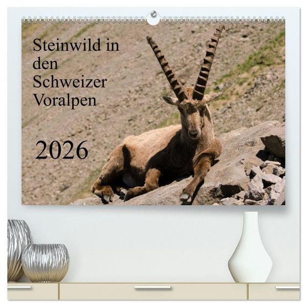 Produktbild: Steinwild in den Schweizer Voralpen (hochwertiger Premium Wandkalender 2026 DIN A2 quer), Kunstdruck in Hochglanz