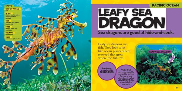 Produktbild: National Geographic Little Kids First Big Book of the Ocean