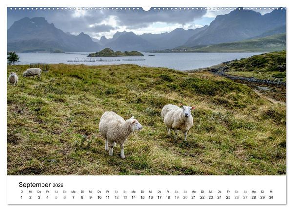 Produktbild: NORWEGEN - NORDMEER LANDSCHAFTEN (Wandkalender 2026 DIN A2 quer), CALVENDO Monatskalender