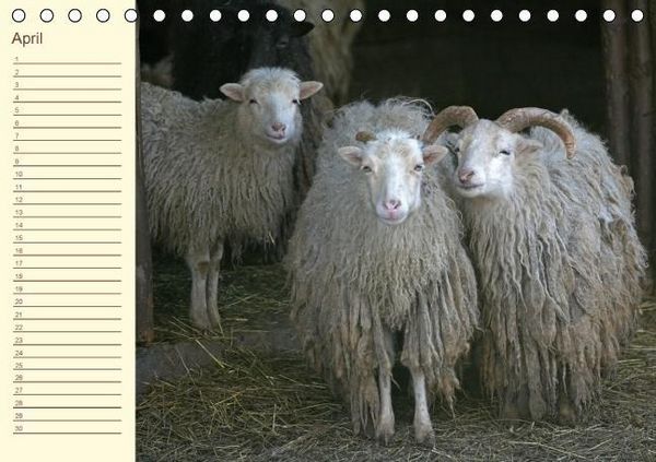 Produktbild: Der wollige Geburtstagskalender (Tischkalender immerw&auml;hrend DIN A5 quer)