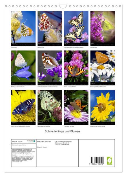 Produktbild: Schmetterlilnge und Blumen (Wandkalender 2026 DIN A3 hoch), CALVENDO Monatskalender
