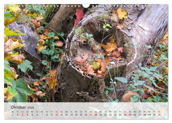 Produktbild: Vier Jahreszeiten - Eine Welt (Wandkalender 2026 DIN A3 quer), CALVENDO Monatskalender