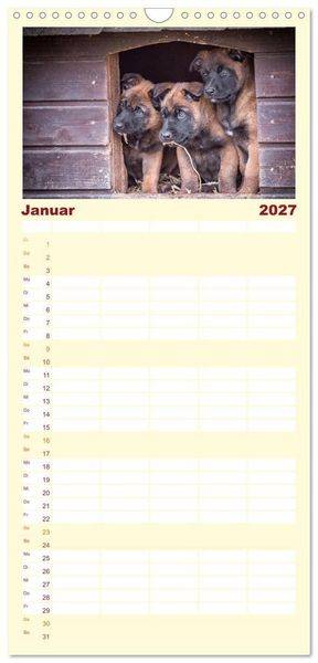 Produktbild: Familienplaner 2027 - Traumhund Malinois mit 5 Spalten (Wandkalender, 21 x 45 cm) CALVENDO