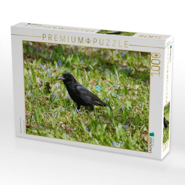Produktbild: CALVENDO Puzzle Rabe auf der Blumenwiese | 1000 Teile Lege-Gr&ouml;&szlig;e 64x48cm Foto-Puzzle f&uuml;r gl&uuml;ckliche Stunden