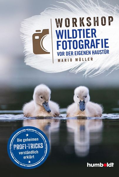 Produktbild: Workshop Wildtierfotografie vor der eigenen Haust&uuml;r