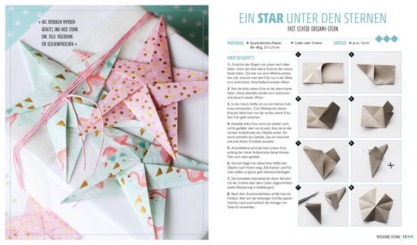 Produktbild: Noch mehr Weihnachtssterne? Gerne!