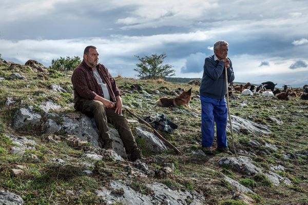 Produktbild: Wie wilde Tiere (Blu-ray)