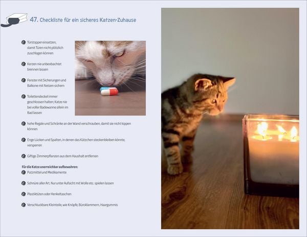 Produktbild: 101 Dinge, die man wissen muss, wenn ein Katzenbaby einzieht