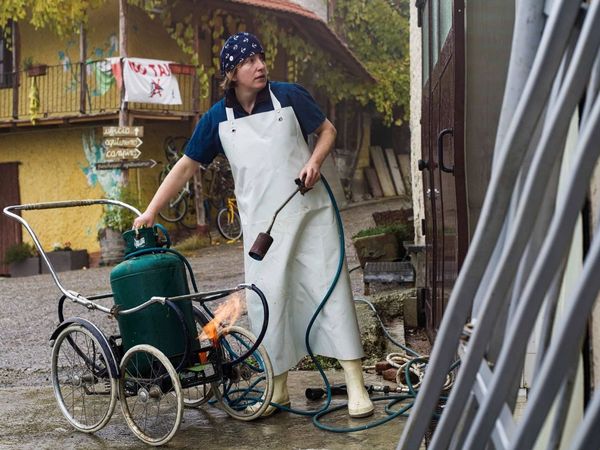 Produktbild: Wir und das Tier - Ein Schlachthausmelodram