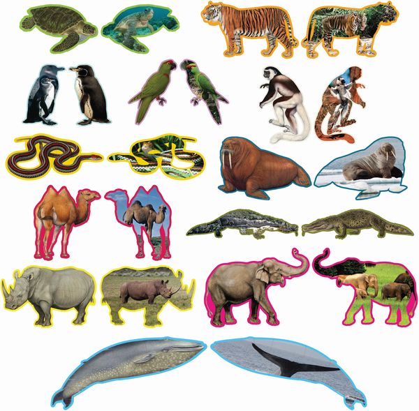 Produktbild: 12 Tierpuzzles (Puzzle)