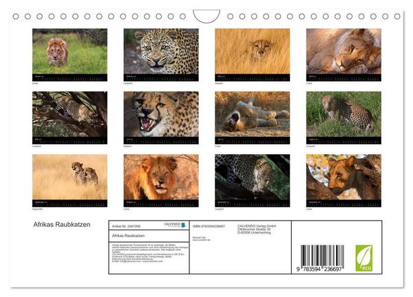 Produktbild: Afrikas Raubkatzen (Wandkalender 2027 DIN A4 quer), CALVENDO Monatskalender