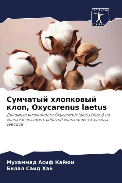 Produktbild: Sumchatyj hlopkowyj klop, Oxycarenus laetus
