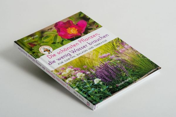 Produktbild: Die sch&ouml;nsten Pflanzen, die wenig Wasser brauchen f&uuml;r Garten, Balkon und Terrasse