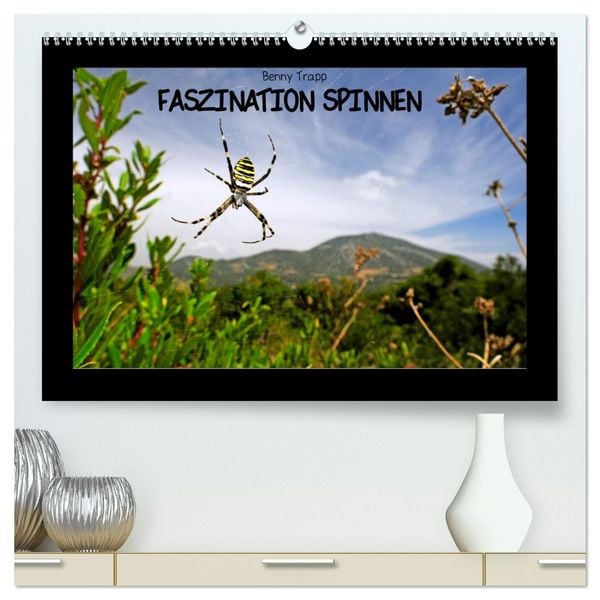 Produktbild: Faszination Spinnen (hochwertiger Premium Wandkalender 2026 DIN A2 quer), Kunstdruck in Hochglanz