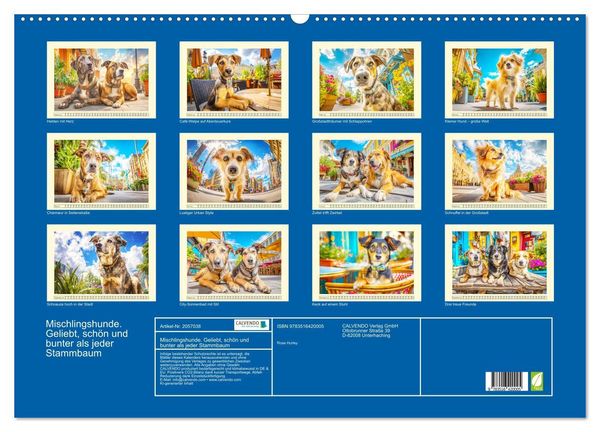 Produktbild: Mischlingshunde. Geliebt, sch&ouml;n und bunter als jeder Stammbaum (Wandkalender 2026 DIN A2 quer), CALVENDO Monatskalender
