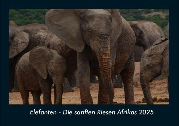 Elefanten - Die sanften Riesen Afrikas 2025 Fotokalender DIN A4