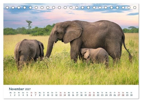 Produktbild: Fernweh Uganda - Natursch&ouml;nheit Ostafrikas (Tischkalender 2027 DIN A5 quer), CALVENDO Monatskalender