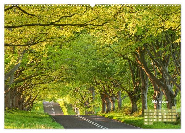 Produktbild: Alleen: Der Weg ist das Ziel (hochwertiger Premium Wandkalender 2026 DIN A2 quer), Kunstdruck in Hochglanz