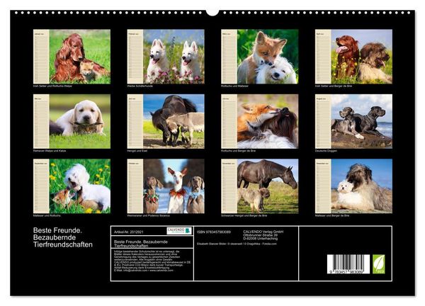 Produktbild: Beste Freunde. Bezaubernde Tierfreundschaften (hochwertiger Premium Wandkalender 2026 DIN A2 quer), Kunstdruck in Hochglanz