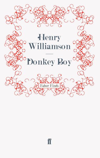 Produktbild: Donkey Boy