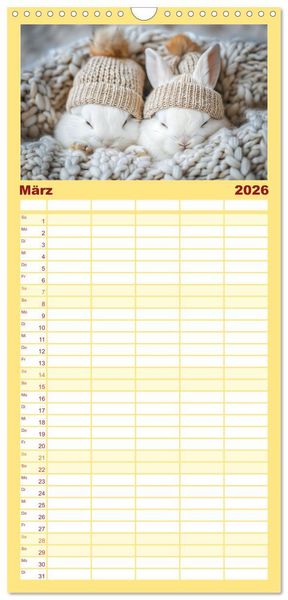 Produktbild: Familienplaner 2026 - Lustige Hasengeschichten mit 5 Spalten (Wandkalender, 21 x 45 cm) CALVENDO