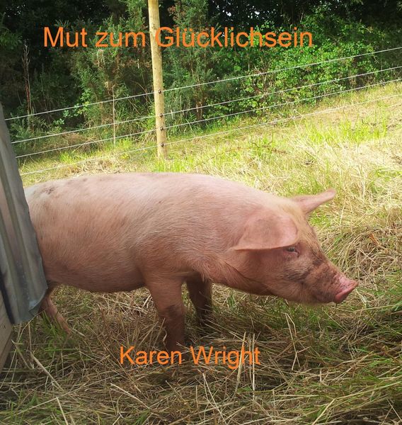 Produktbild: Mut zum Gl&uuml;cklichsein