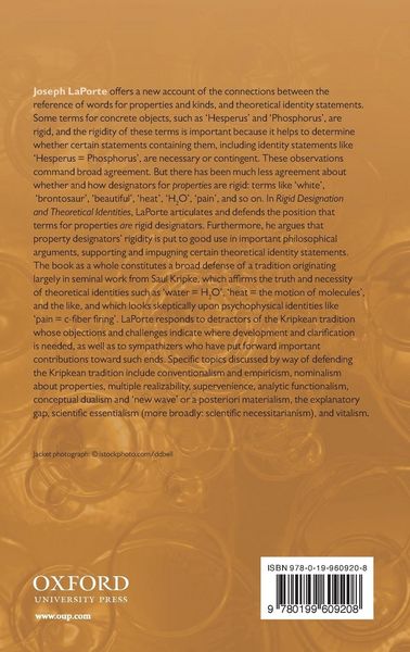 Produktbild: Rigid Designation and Theoretical Identities