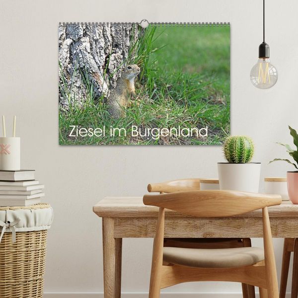 Produktbild: Ziesel im Burgenland (Wandkalender 2026 DIN A3 quer), CALVENDO Monatskalender
