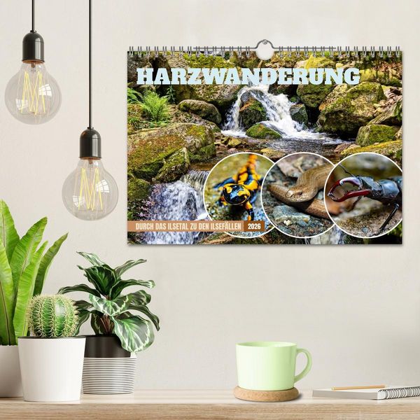 Produktbild: Harzwanderung-Durch das Ilsetal zu den Ilsef&auml;llen (Wandkalender 2026 DIN A4 quer), CALVENDO Monatskalender