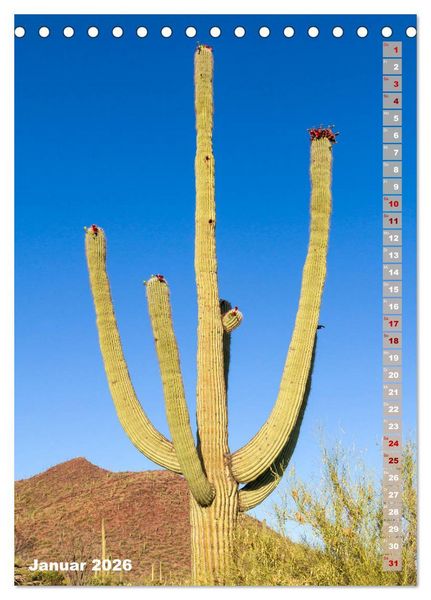 Produktbild: SAGUARO NATIONAL PARK W&uuml;stenimpressionen aus Arizona (Tischkalender 2026 DIN A5 hoch), CALVENDO Monatskalender