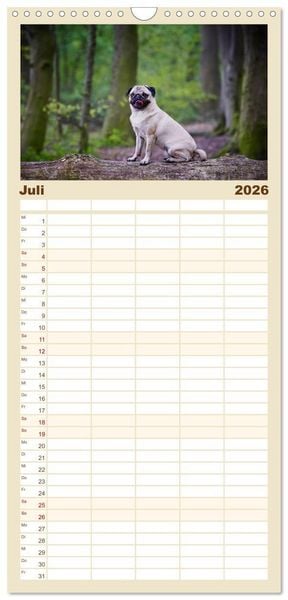 Produktbild: Familienplaner 2026 - Mops mit 5 Spalten (Wandkalender, 21 x 45 cm) CALVENDO