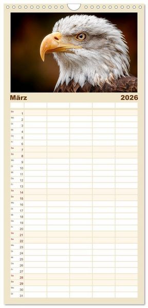 Produktbild: Familienplaner 2026 - Majest&auml;tische Wei&szlig;kopfseeadler - Der K&ouml;nig der L&uuml;fte mit 5 Spalten (Wandkalender, 21 x 45 cm) CALVENDO