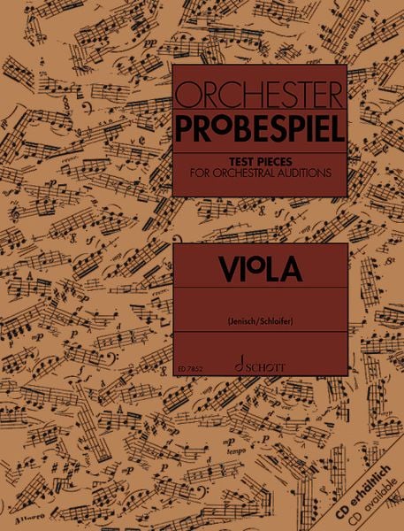 Orchester-Probespiel Viola