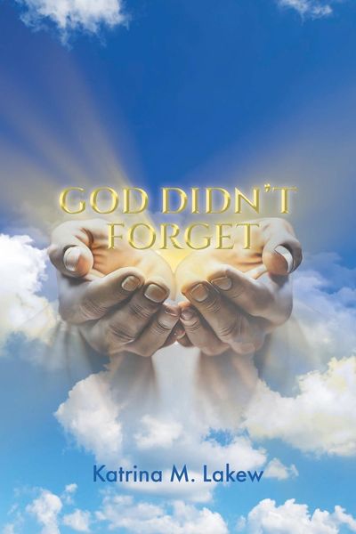 Produktbild: God Didn't Forget