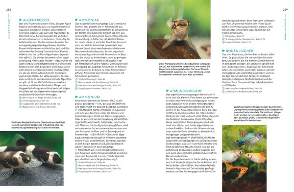 Praxishandbuch Aquarium