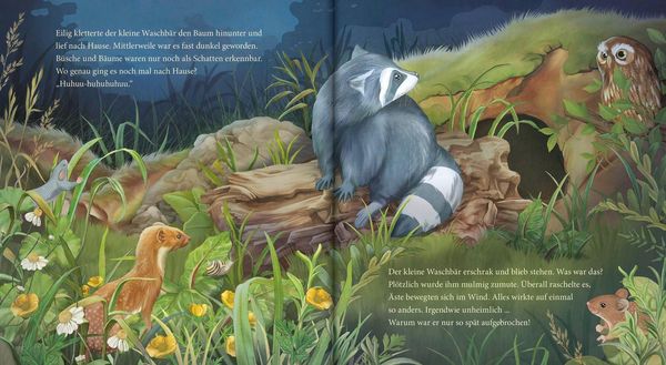 Produktbild: Schlaf gut, kleiner Waschb&auml;r &ndash; ein Bilderbuch f&uuml;r Kinder ab 2 Jahren