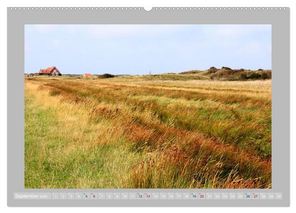 Produktbild: Juist - Kleine Insel, Gro&szlig;e Freiheit (hochwertiger Premium Wandkalender 2026 DIN A2 quer), Kunstdruck in Hochglanz
