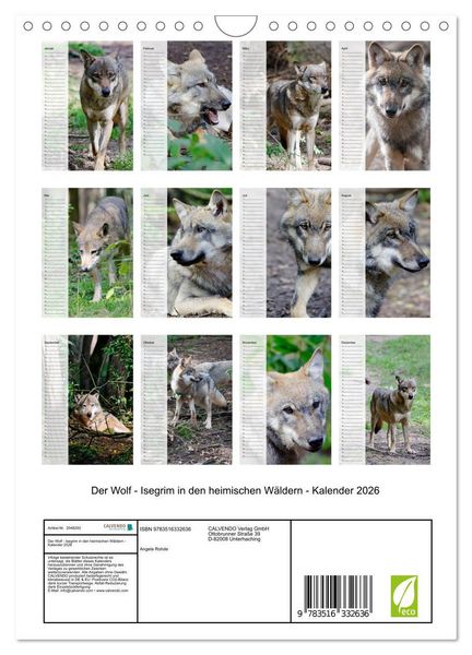 Produktbild: Der Wolf - Isegrim in den heimischen W&auml;ldern - Kalender 2026 (Wandkalender 2026 DIN A4 hoch), CALVENDO Monatskalender