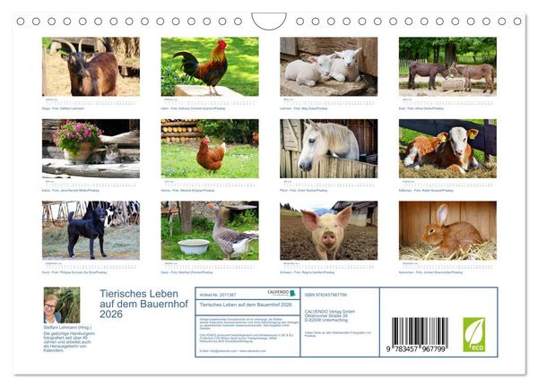 Produktbild: Tierisches Leben auf dem Bauernhof 2026 (Wandkalender 2026 DIN A4 quer), CALVENDO Monatskalender