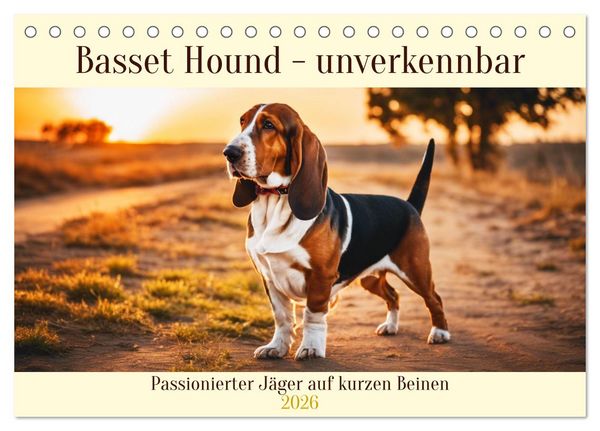Basset Hound - unverkennbar (Tischkalender 2026 DIN A5 quer), CALVENDO Monatskalender