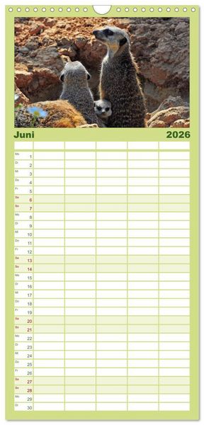 Produktbild: Familienplaner 2026 - Erdm&auml;nnchens Kinderstube mit 5 Spalten (Wandkalender, 21 x 45 cm) CALVENDO
