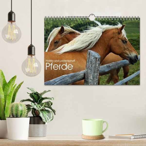Produktbild: Pferde - Hobby und Leidenschaft (Wandkalender 2026 DIN A4 quer), CALVENDO Monatskalender