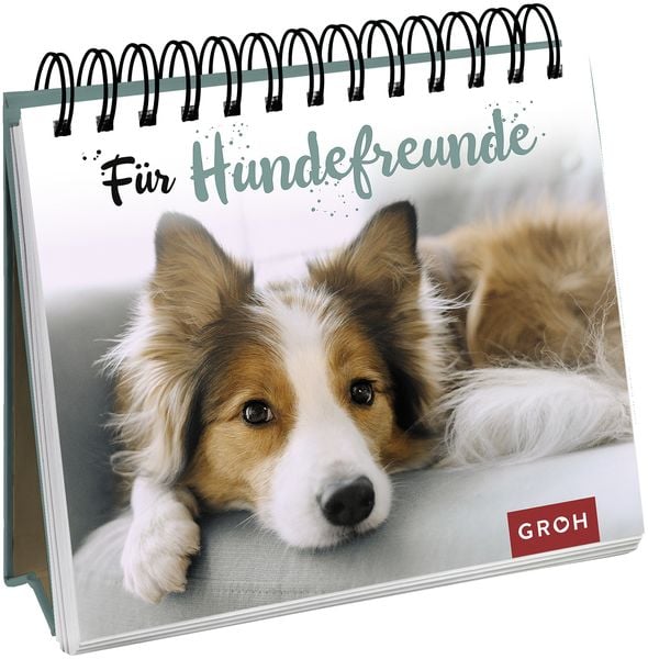 Für Hundefreunde