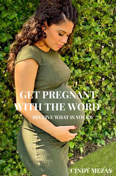 Produktbild: Get pregnant with the Word