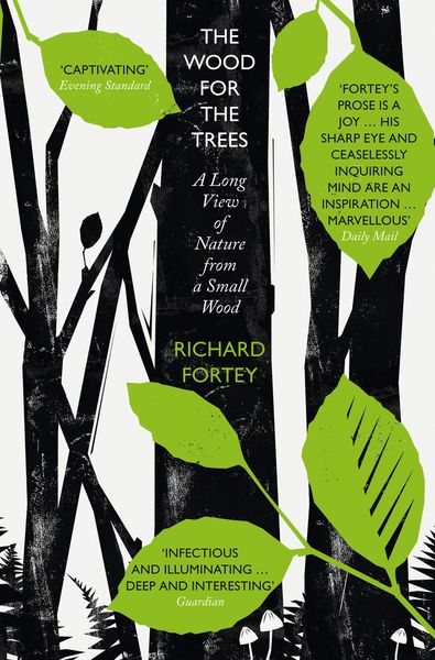 Produktbild: WOOD FOR TREES PB