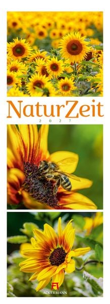 Produktbild: NaturZeit Triplet-Kalender 2027
