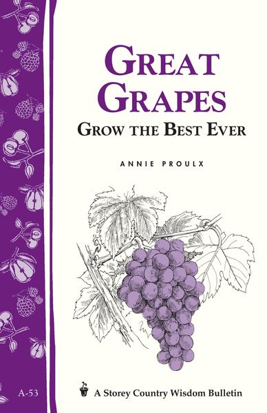 Great Grapes