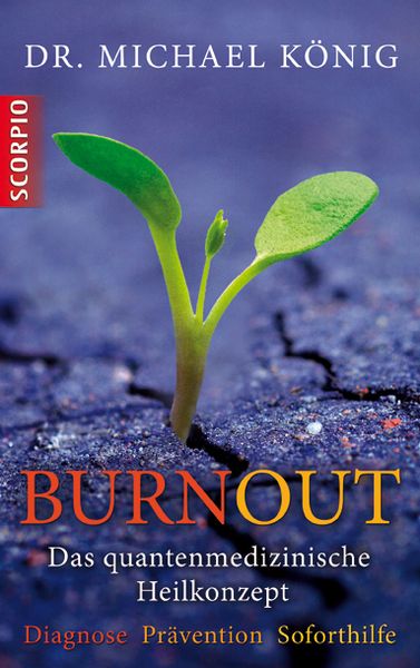 Produktbild: Burnout